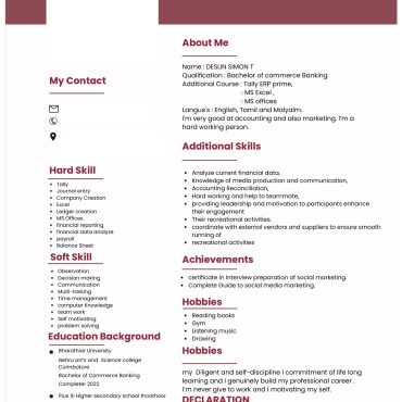 12856-Accountant Fresher