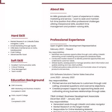 12500 - Sales Executive