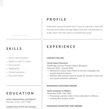 12654 - Sales Executive