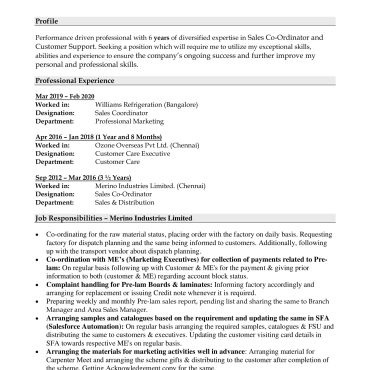 12655 - Sales Executive
