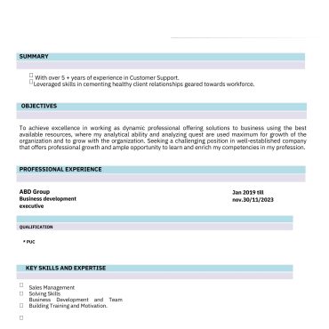 12390 - Business Development Executive