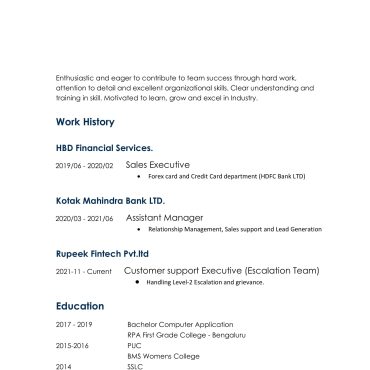 12657 - Sales Executive