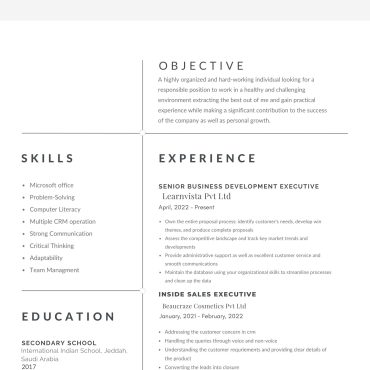 12293 - Business Development Executive