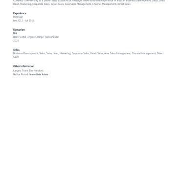 12392 - Sales Executive