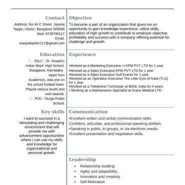 12393 - Sales Executive
