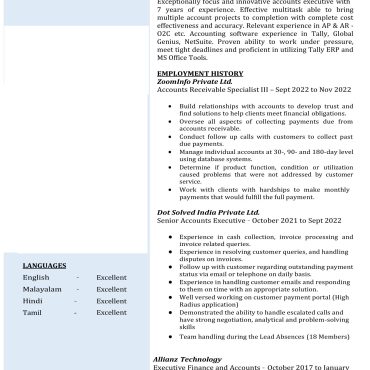 11914 - Senior Accountant