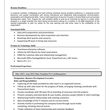 12398 - Business Development Executive