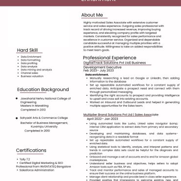 12512 - Senior Analyst