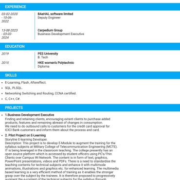 12301 - Business Development Executive