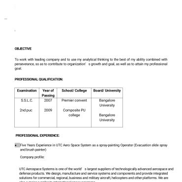 12403 - Sales Executive