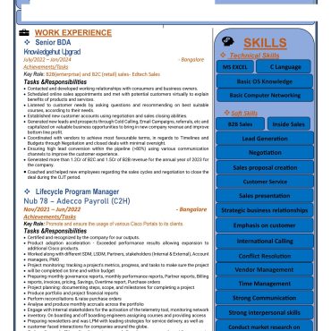 12307 - Business Development Executive