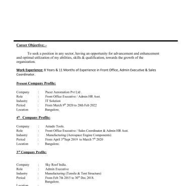 12521 - Sales Executive