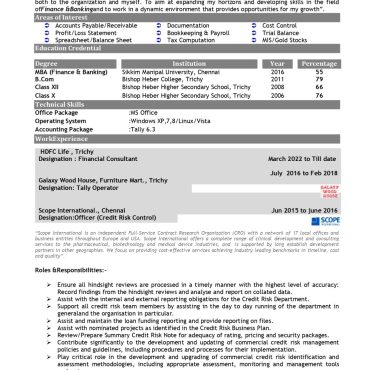 12695-Senior Accountant