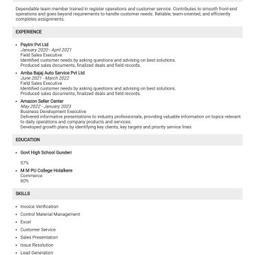 12415 - Sales Executive