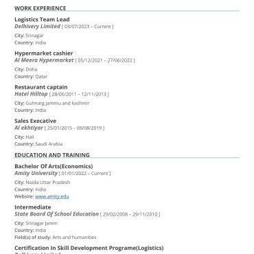 12416 - Sales Executive