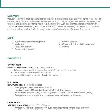 12131 - Business Development Executive