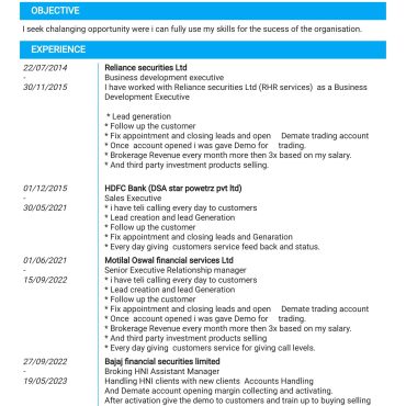 12428 - Sales Executive