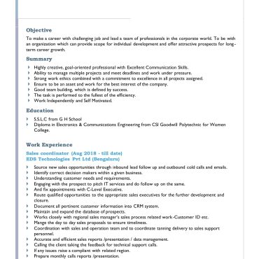 12530 - Sales Executive