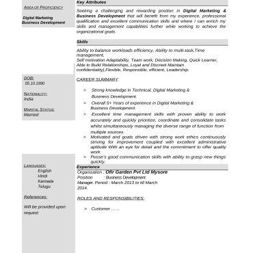 12433 - Business Development Executive