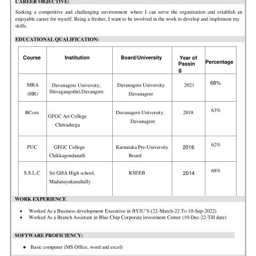 12337 - Business Development Executive