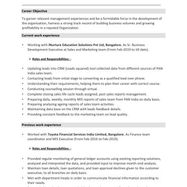 12343 - Sales Executive