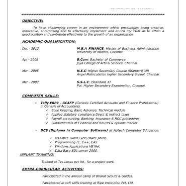 12056 - Customer Support Executive