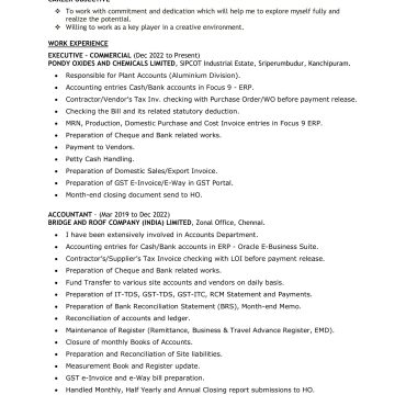 12241 - Senior Executive