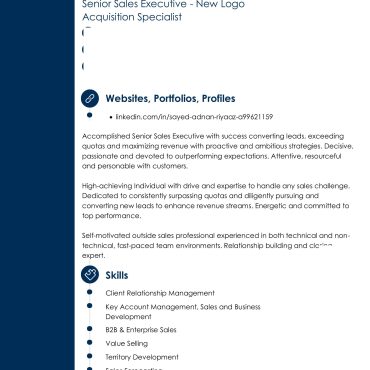 12447 - Sales Executive
