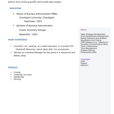 12350 - Sales Executive