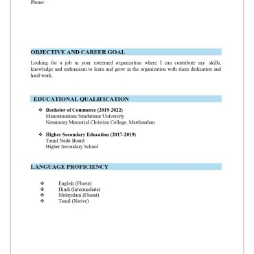 12896-Accountant Fresher