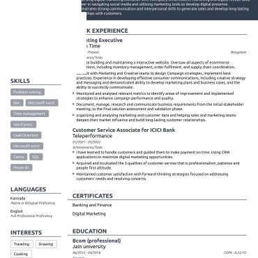 12355 - Sales Executive