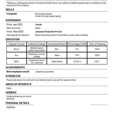 12359 - Sales Executive