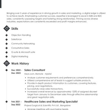 12361 - Sales Executive