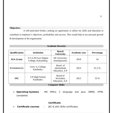 12363 - Junior Accountant