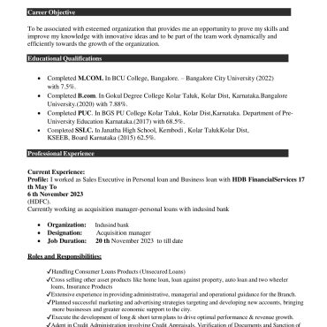 12636 - Sales Executive