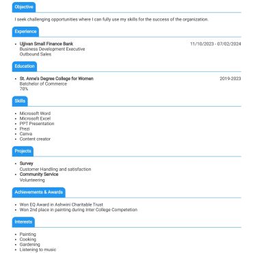 12576 - Business Developmemt Executive