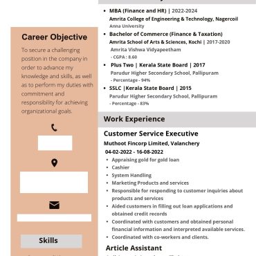 12668-Customer Support Executive
