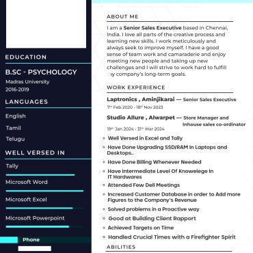 13213-Senior Sales Executive