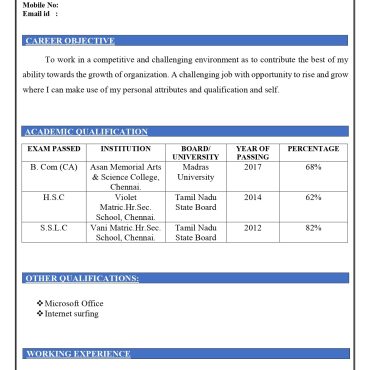 13094-Accountant Fresher