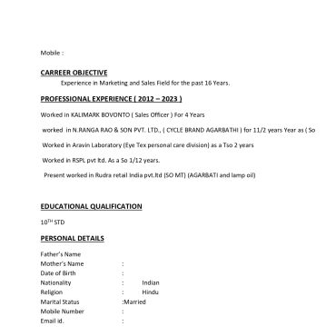 13106-Sales Executive