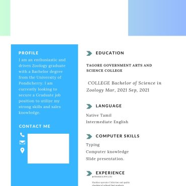 14093-Sales Executive
