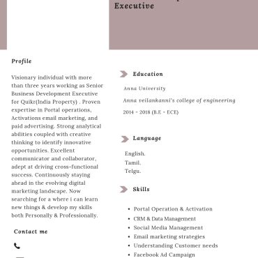 12781-Business Development Executive