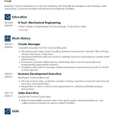 13126-Business Development Executive