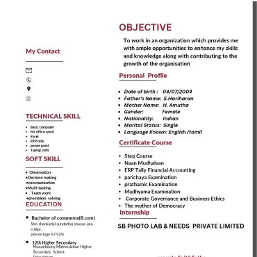 13149-Accountant Fresher