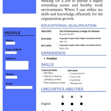 13150-Accountant Fresher