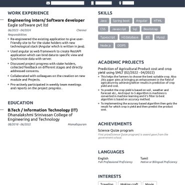 13120-Software Developer