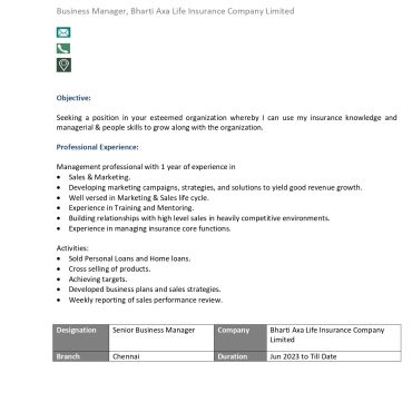 13066-Business Development Executive