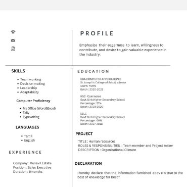 12993-Sales Executive