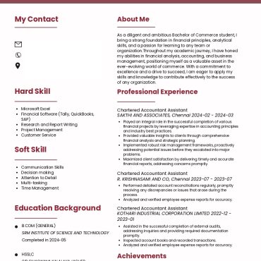 13170-Chartered Accountant Experienced