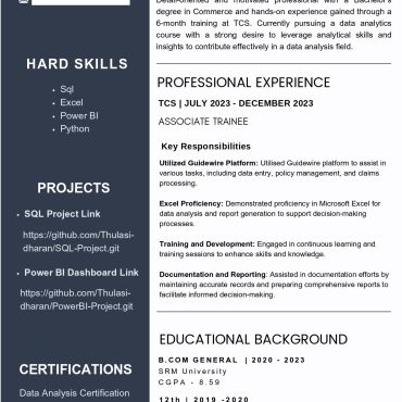 13177-Data Analyst
